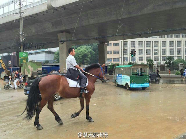 Một số cư dân mạng ủng hộ quyết định cưỡi ngựa đi làm của người đàn ông tại Vũ Hán.