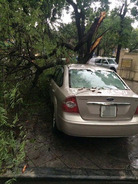 Cành cây gãy rơi trúng một chiếc xe Ford trên đường Ngô Quyền. Ảnh: Chim Cò/Otofun