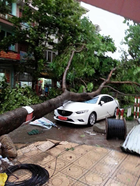 Một chiếc Mazda màu trắng đã bị cây đổ trúng tại Định Công. Nóc xe bẹp và kính chắn gió trước vỡ nát. Ảnh: Nguyễn Trần Anh Khoa/Otofun