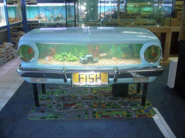 Bể cá bằng đầu ô tô có cả biển số đi kèm.