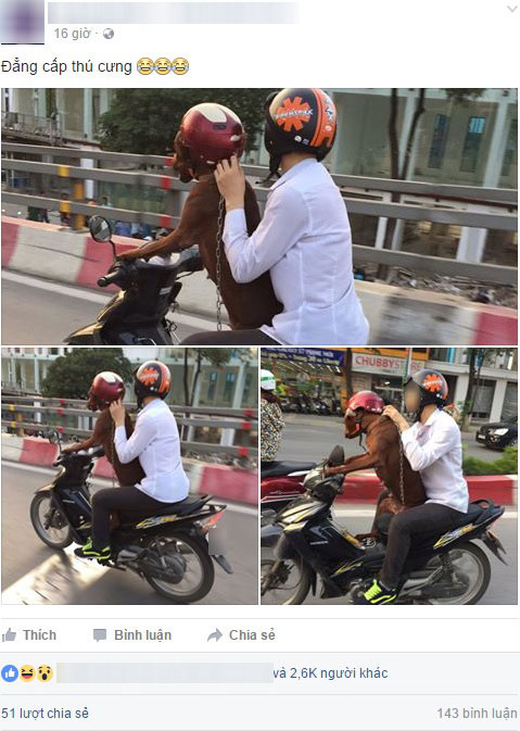 
Hình ảnh nam thanh niên chở chó bằng xe máy trên đường Hà Nội được đăng lên mạng vào hôm qua.
