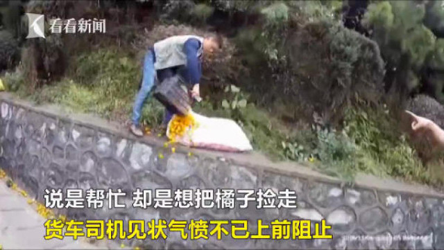 
Một người đàn ông đổ những quả cam nhặt trên đường vào bao tải. Ảnh cắt từ video
