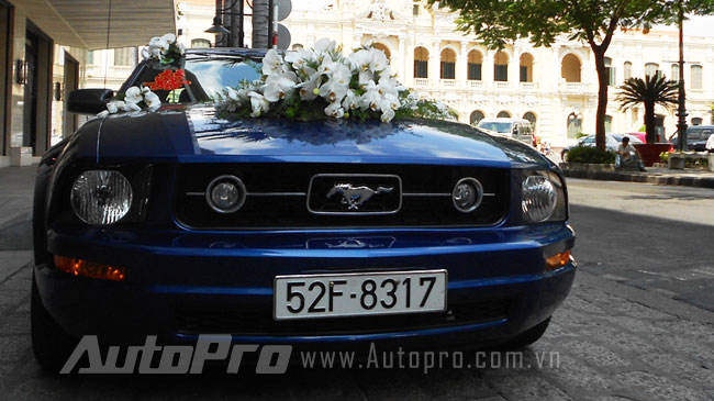 Ngựa hoang Mustang l&agrave;m xe d&acirc;u ở S&agrave;i G&ograve;n 4