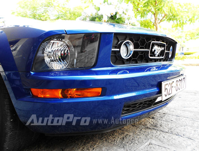 Ngựa hoang Mustang l&agrave;m xe d&acirc;u ở S&agrave;i G&ograve;n 5