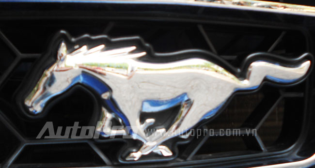 Ngựa hoang Mustang l&agrave;m xe d&acirc;u ở S&agrave;i G&ograve;n 6