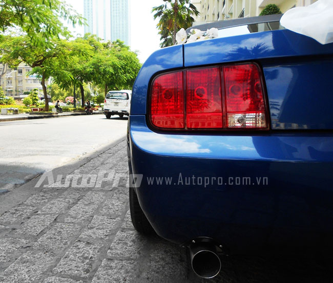 Ngựa hoang Mustang l&agrave;m xe d&acirc;u ở S&agrave;i G&ograve;n 7