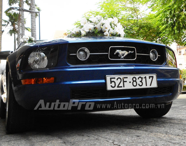 Ngựa hoang Mustang l&agrave;m xe d&acirc;u ở S&agrave;i G&ograve;n 9