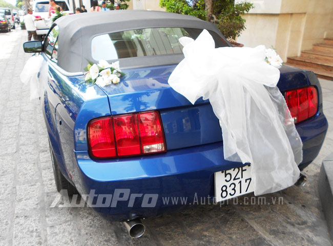 Ngựa hoang Mustang l&agrave;m xe d&acirc;u ở S&agrave;i G&ograve;n 10