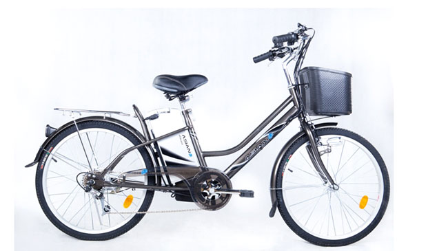Asiana - Xe đạp điện trẻ trung, năng động 3