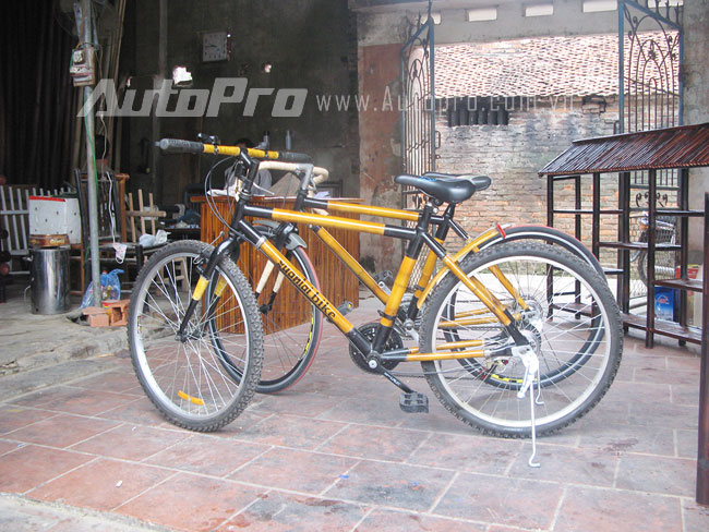Xe đạp tre - "đặc sản" của Việt Nam 1