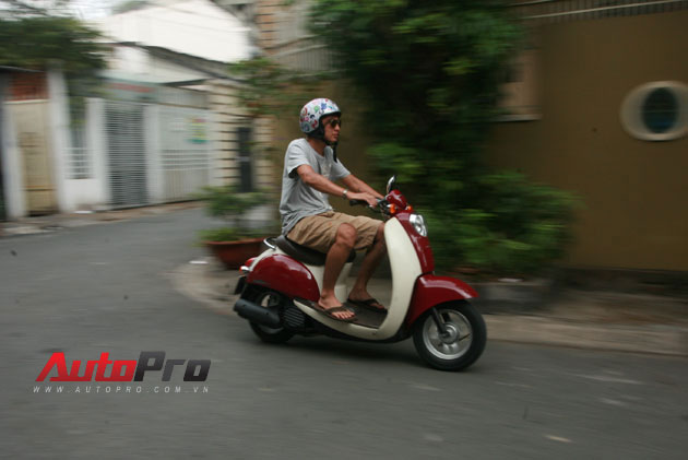 Honda Crea Scoopy 50cc Scooter lý tưởng trong phố  Báo Quảng Ninh điện tử