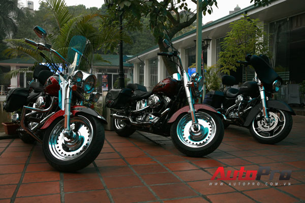 Dàn Harley hùng hậu tụ hợp nhân kỷ niệm CLB Harley Davidson Hà Nội 13