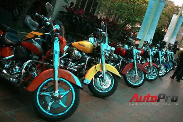 Dàn Harley hùng hậu tụ hợp nhân kỷ niệm CLB Harley Davidson Hà Nội 1