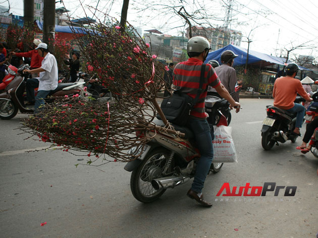 Ngày giáp Tết: Xe máy biến hóa... xe thồ 2