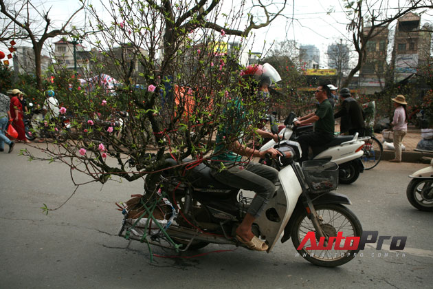 Ngày giáp Tết: Xe máy biến hóa... xe thồ 7