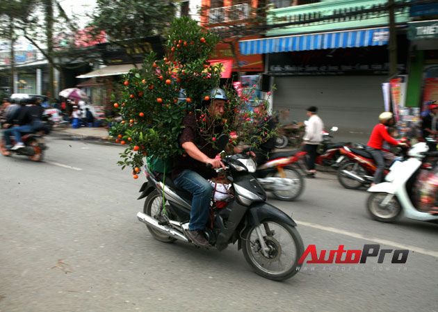 Ngày giáp Tết: Xe máy biến hóa... xe thồ 4