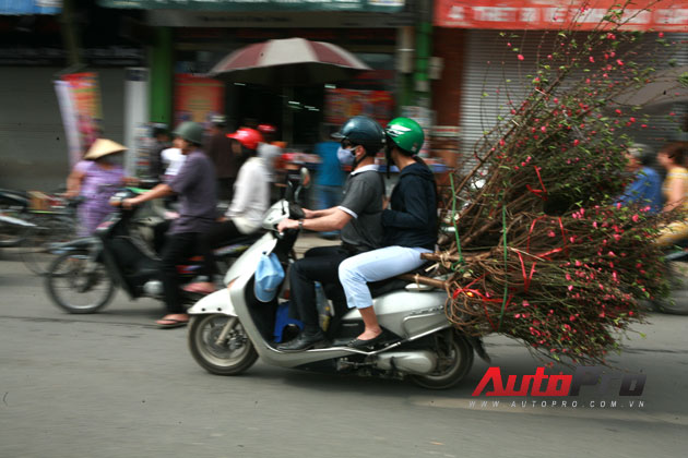 Ngày giáp Tết: Xe máy biến hóa... xe thồ 1