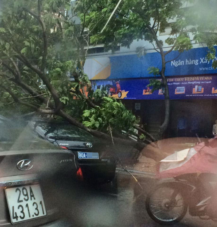 
Toyota Camry biển xanh bị cây đè trên đường Bà Triệu.
