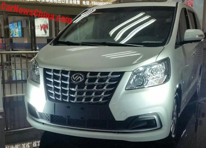 BAIC Ruili Doda V8