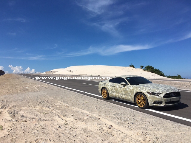 Cách đây 2 tháng, chúng tôi có đưa tin về mẫu xe Ford Mustang 50 Year Limited Edition đã được một người chơi xe tại Việt Nam độ lại cửa cắt kéo, khoác áo lính đặc nhiệm SEAL, nhận được khá nhiều chú ý trong giới chơi xe Việt.
