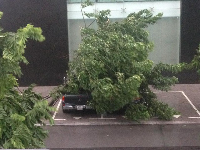 
Tại một tòa nhà lớn trên phố Trường Chinh, cây đổ và đè lên một chiếc ô tô xấu số.
