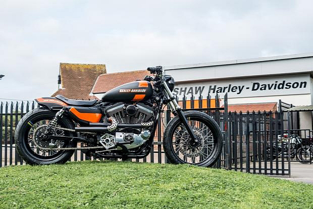 Harley XLTTII: Từ đẹp đến tuyệt vời 2
