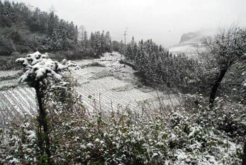 Tuyết rơi dày ở Sapa khiến giao thông đi lại khó khăn 20