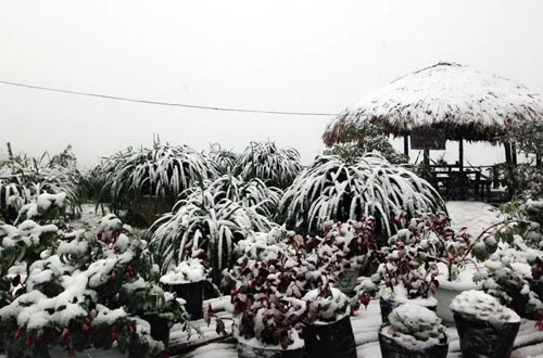 Tuyết rơi dày ở Sapa khiến giao thông đi lại khó khăn 21