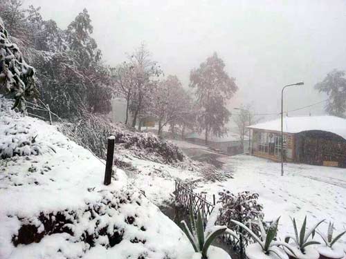 Tuyết rơi dày ở Sapa khiến giao thông đi lại khó khăn 23