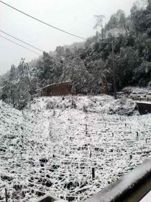 Tuyết rơi dày ở Sapa khiến giao thông đi lại khó khăn 26