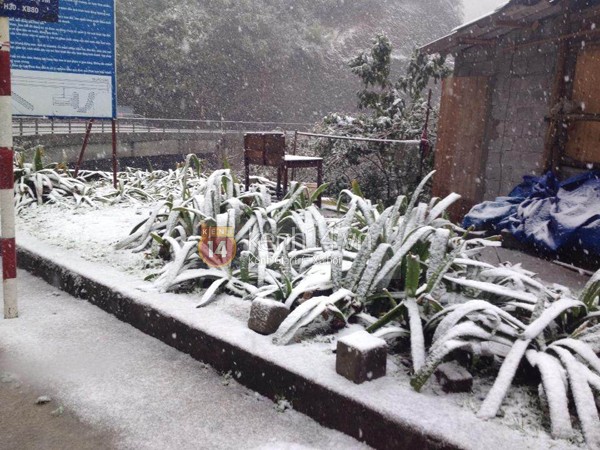 Tuyết rơi dày ở Sapa khiến giao thông đi lại khó khăn 8