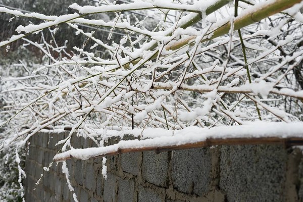Tuyết rơi dày ở Sapa khiến giao thông đi lại khó khăn 9
