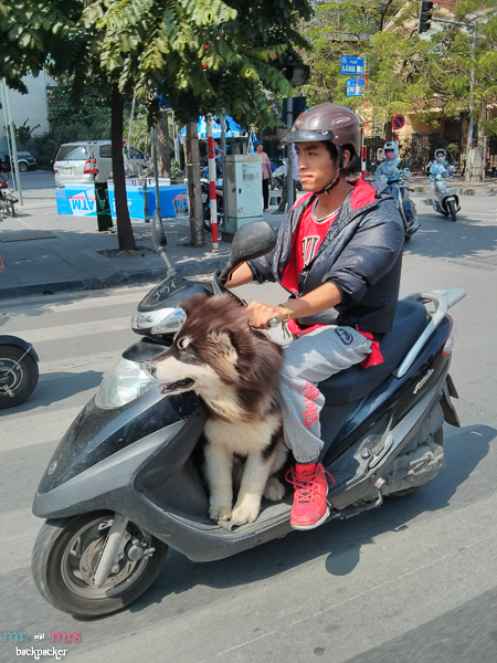 Những hình ảnh về xe máy ở Việt Nam khiến người nước ngoài kinh ngạc 19