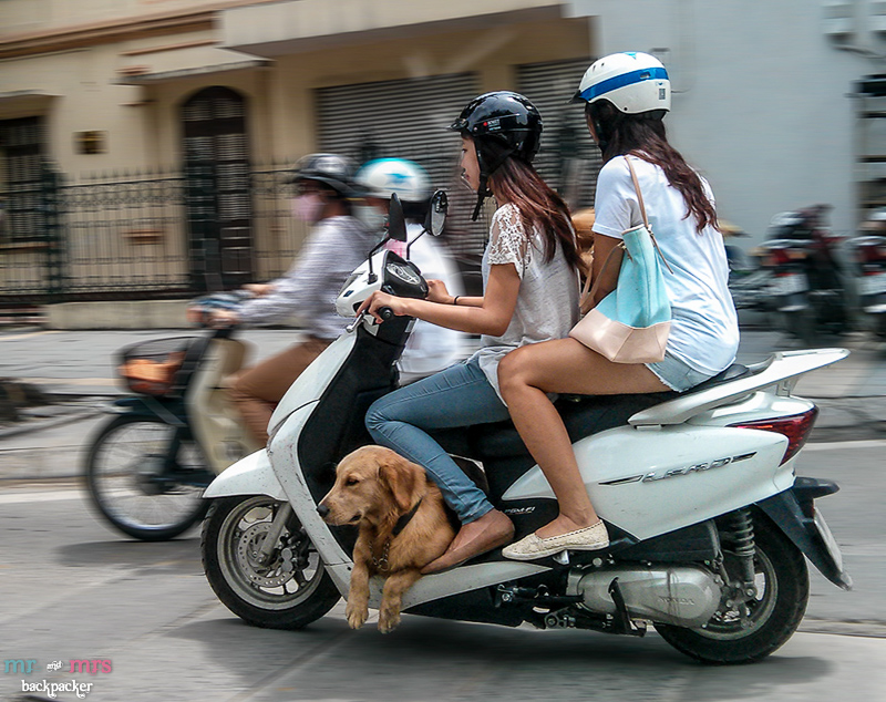 Những hình ảnh về xe máy ở Việt Nam khiến người nước ngoài kinh ngạc 20