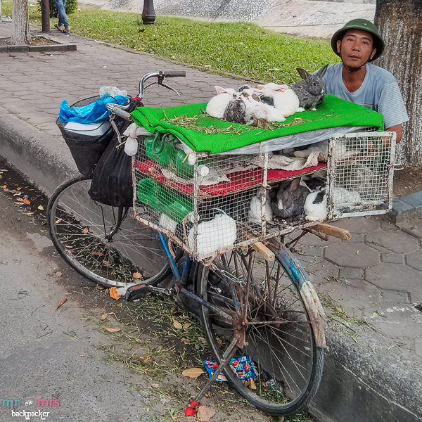 Những hình ảnh về xe máy ở Việt Nam khiến người nước ngoài kinh ngạc 21