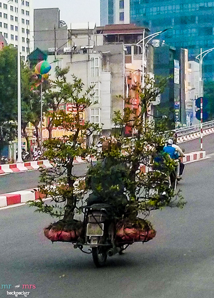 Những hình ảnh về xe máy ở Việt Nam khiến người nước ngoài kinh ngạc 25