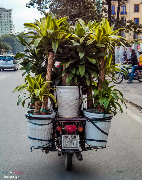 Những hình ảnh về xe máy ở Việt Nam khiến người nước ngoài kinh ngạc 27
