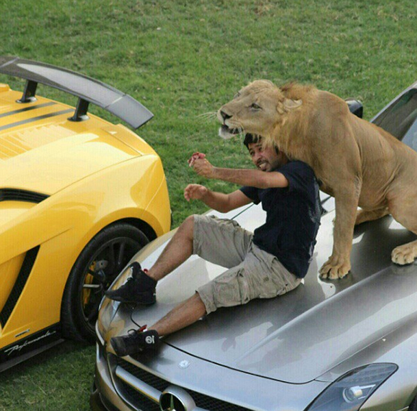 Đại gia Trung Đông với thú chơi siêu xe và... sư tử 6