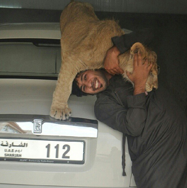 Đại gia Trung Đông với thú chơi siêu xe và... sư tử 8