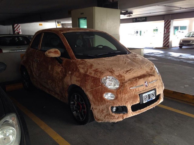 Chiếc Fiat 500 bọc lông nằm trong một bãi đỗ xe.