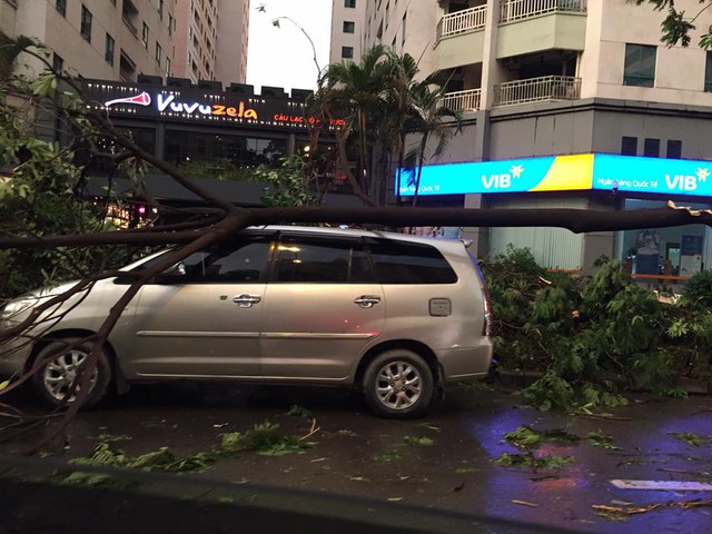 Một chiếc ô tô bảy chỗ bị cây gãy, đổ xuống nóc. Ảnh: Nguyễn Kim Việt/Otofun