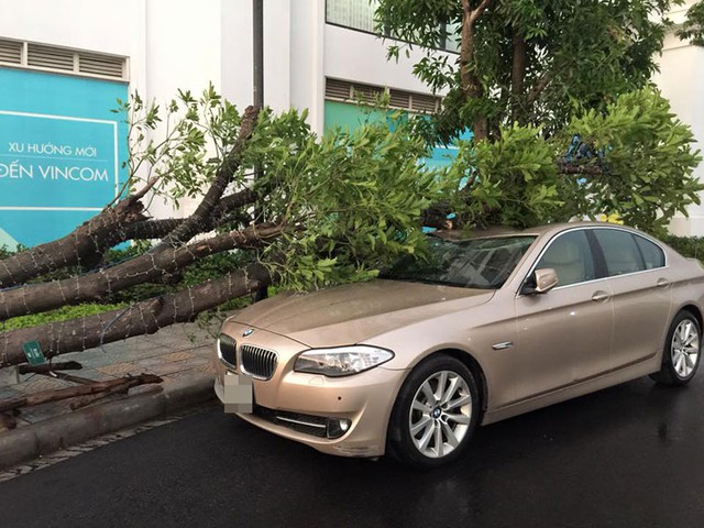 Một chiếc BMW 5-Series đắt tiền bị cây đổ bẹp nóc tại Times City. Ảnh: Lê Hưng/Otofun