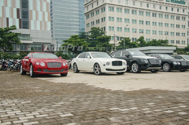 Từ trái sang là mẫu xe thể thao siêu sang Continental GT W12, kế đến là chiếc xe siêu sang đang gây cơn sốt trong giới chơi xe Việt Bentley Mulsanne Speed, hai chiếc mang ngoại thất đen bóng là SUV Bentayga và Flying Spur V8.