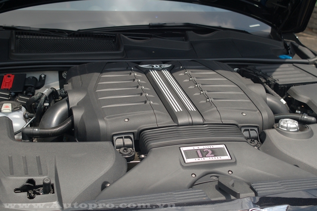 
Bentley Bentayga phiên bản tiêu chuẩn được trang bị khối động cơ W12, tăng áp kép, dung tích 6.0 lít, sản sinh công suất tối đa 600 mã lực và mô-men xoắn cực đại 900 Nm. Sức mạnh được truyền tới cả 4 bánh thông qua hộp số tự động 8 cấp. Nhờ đó, Bentley Bentayga có thể tăng tốc từ 0-96 km/h trong 4 giây trước khi đạt vận tốc tối đa 301 km/h.
