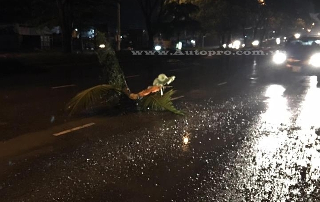 
Nhánh cây và áo mưa do anh Q.P để lại vào tối qua để cảnh báo các tài xế khác về hố tử thần.
