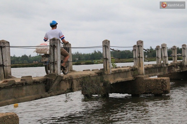 
Cầu vĩnh biệt dài gần 300 mét, được xây vào năm 1985, với mục đích đưa nước từ công trình đại thủy nông Phú Ninh về tưới tiêu cho 30 ha lúa thuộc đồng bãi vẹt xã Tam Tiến.
