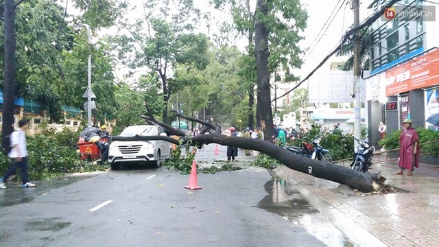
Tại 29 Lê Quý Đôn, phương 7, quận 3, một cây to đổ đè lên chiếc ô tô đang lưu thông qua đây. Tài xế bị thương nhẹ, hoảng loạn đạp cửa thoát thân. Hiện tại, toàn bộ khu vực này đã mất điện. Ảnh: Lê Giang
