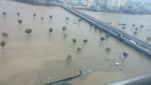 
Các con đường tại Hàn Quốc biển thành biển nước sau cơn bão Chaba.
