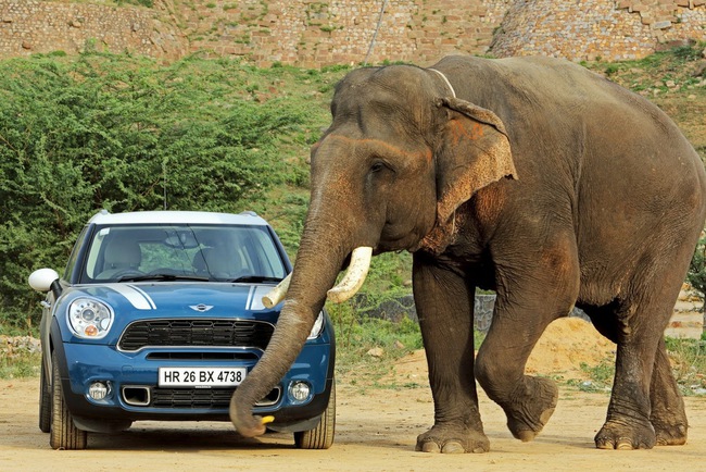 MINI bắt đầu được sản xuất tại Ấn Độ 9