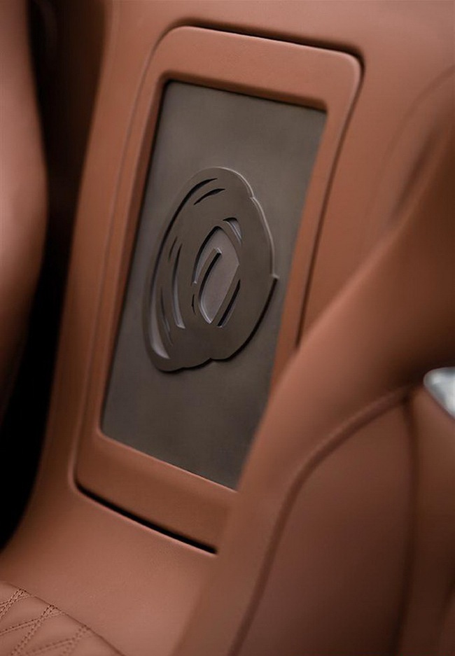 Veyron Grand Sport Venet: Tác phẩm nghệ thuật nhanh nhất thế giới 20